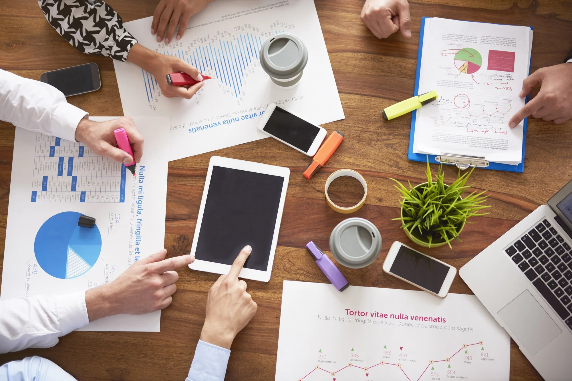 Growth & Support Engagements